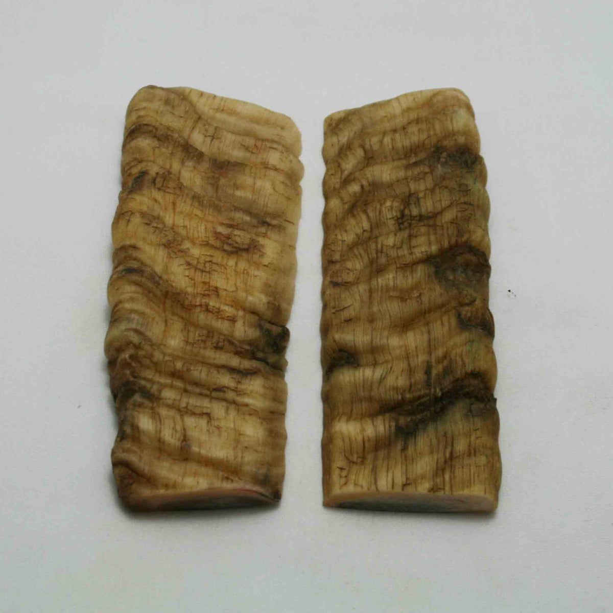 NB902NAM58 Merino Ram Horn Scales LARGE