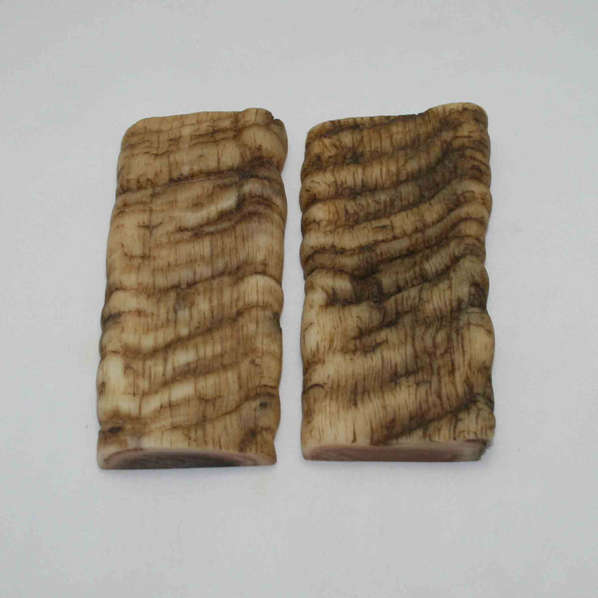 NB902NAM59 Merino Ram Horn Scales LARGE