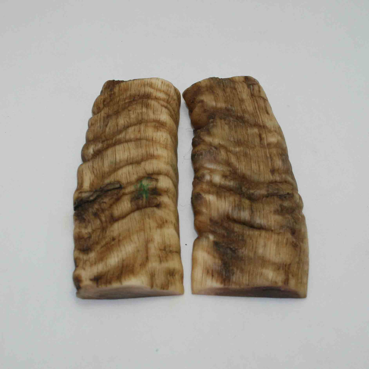 NB902NAM63 Merino Ram Horn Scales LARGE