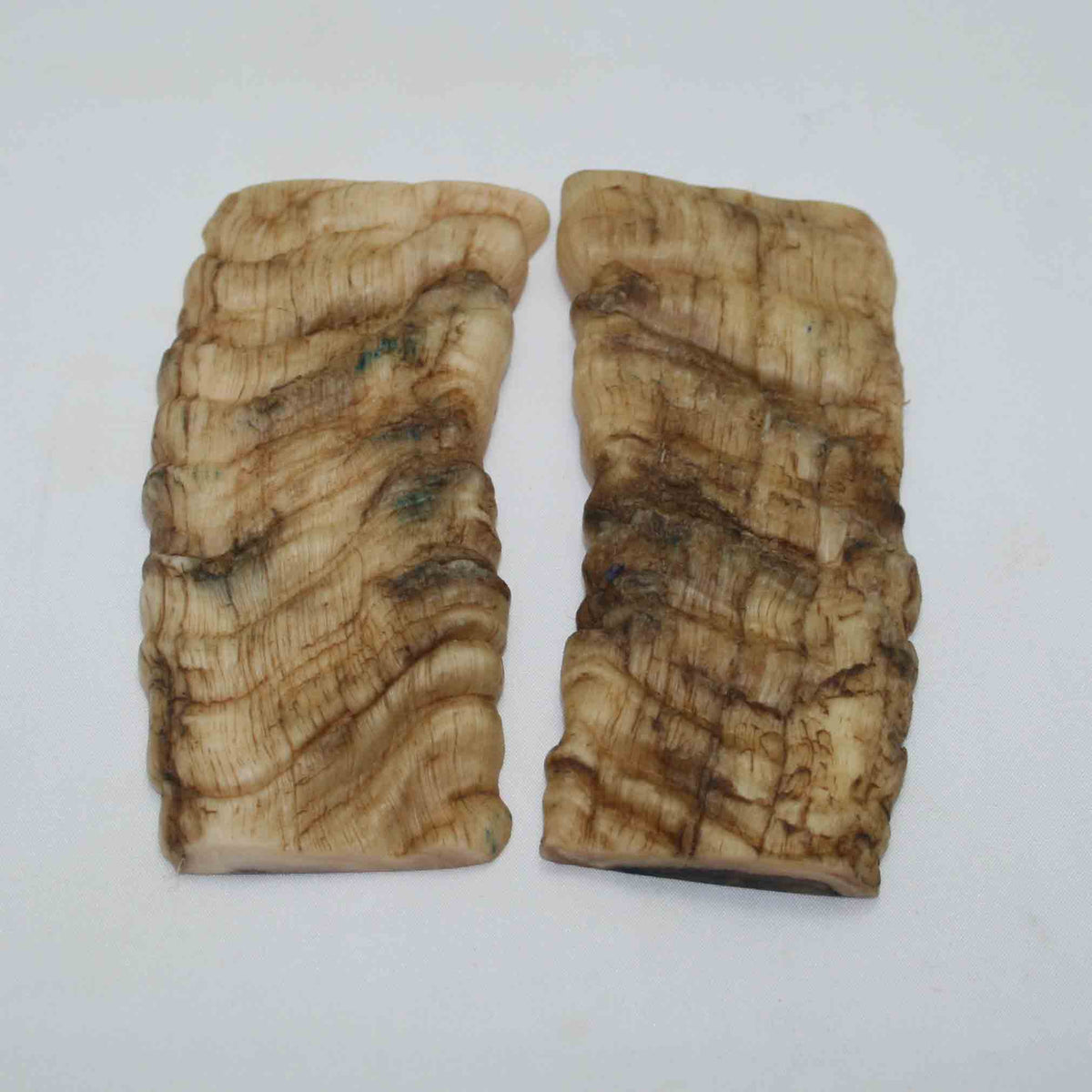 NB902NAM6 Merino Ram Horn Scales LARGE