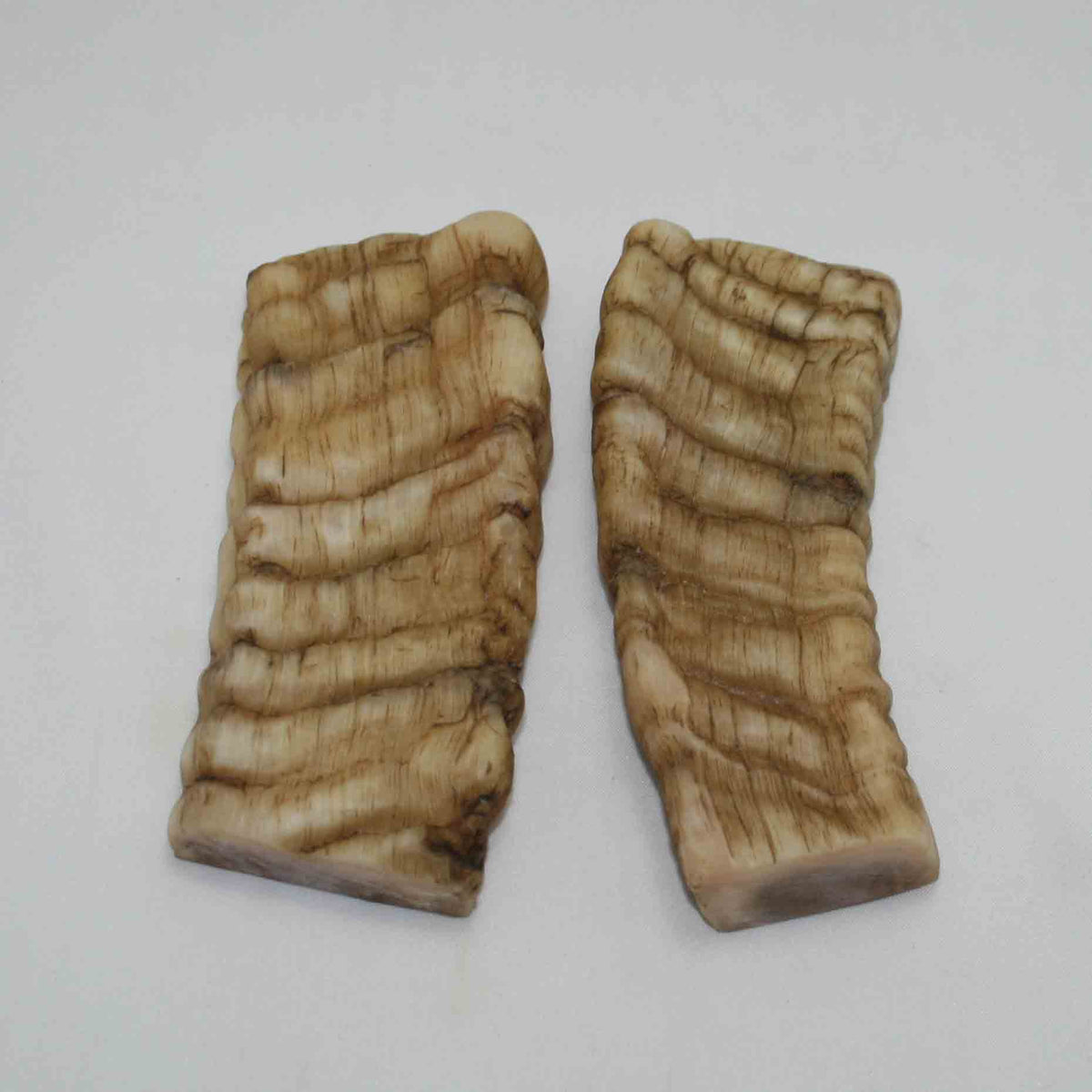 NB902NAM73 Merino Ram Horn Scales LARGE