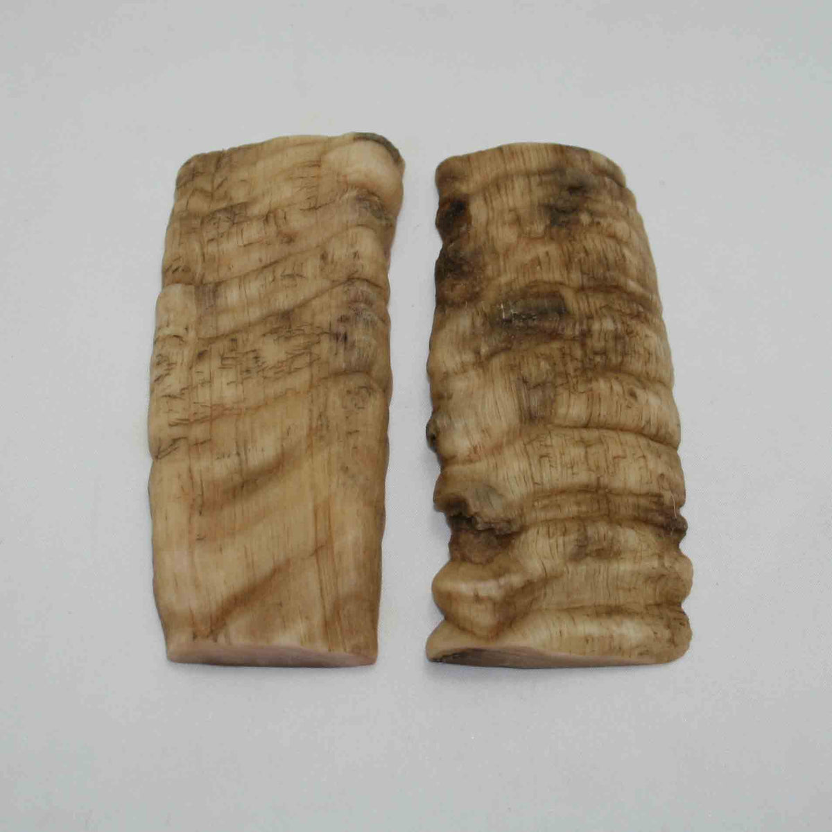 NB902NAM74 Merino Ram Horn Scales LARGE