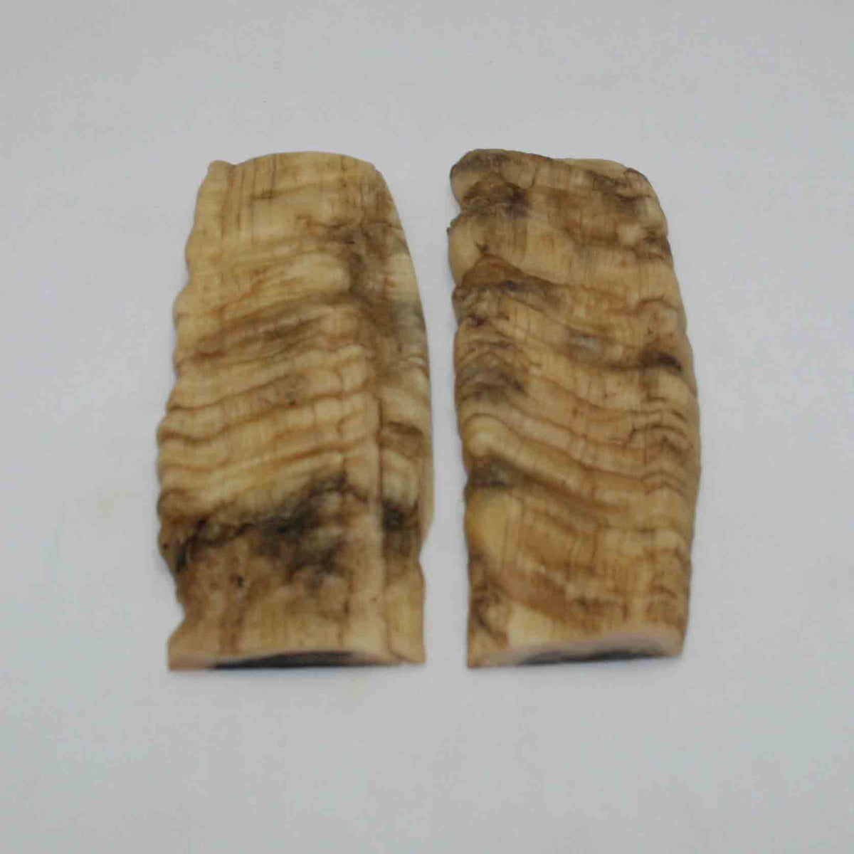 NB902NAM79 Merino Ram Horn Scales LARGE