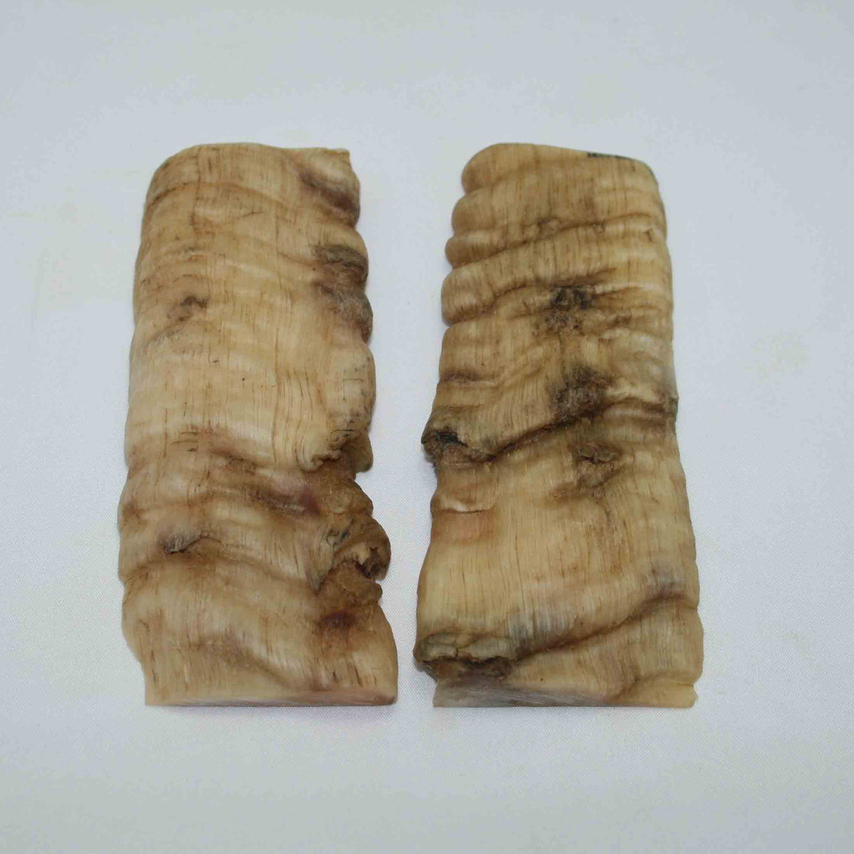 NB902NAM7 Merino Ram Horn Scales LARGE