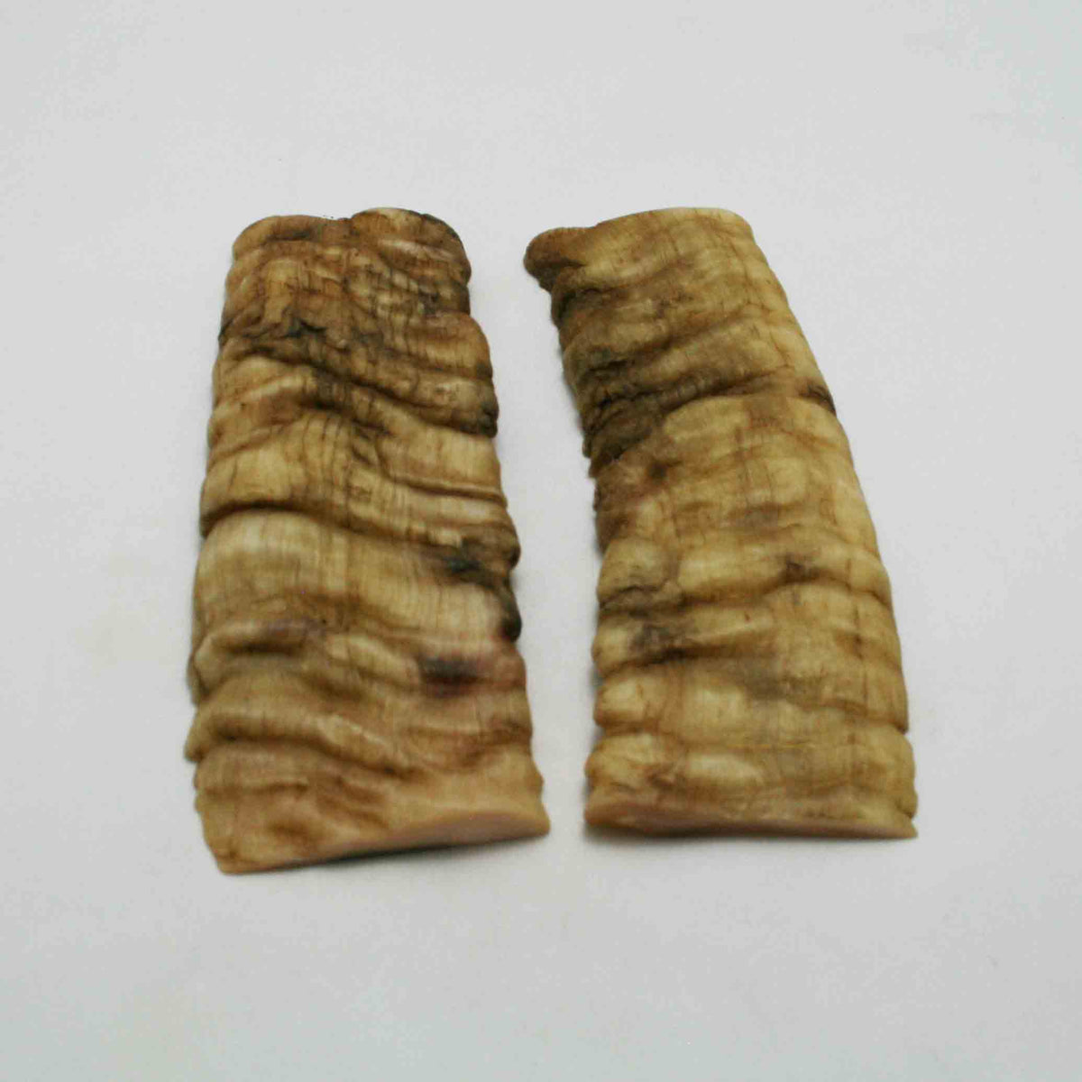 NB902NAM81 Merino Ram Horn Scales LARGE