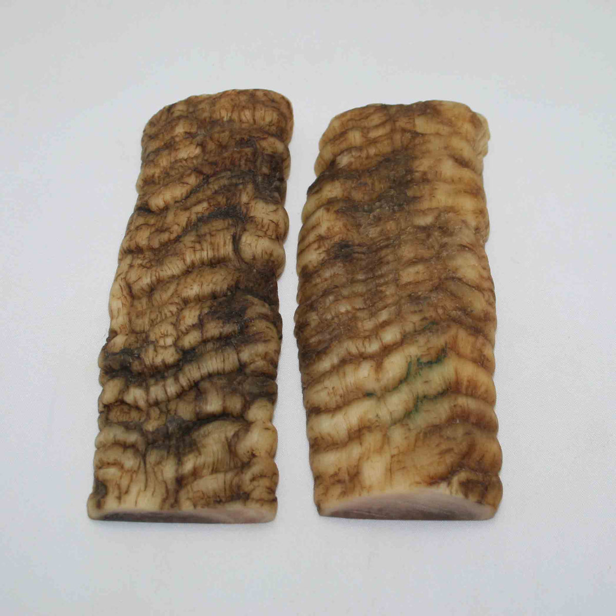 NB902NAM87 Merino Ram Horn Scales LARGE