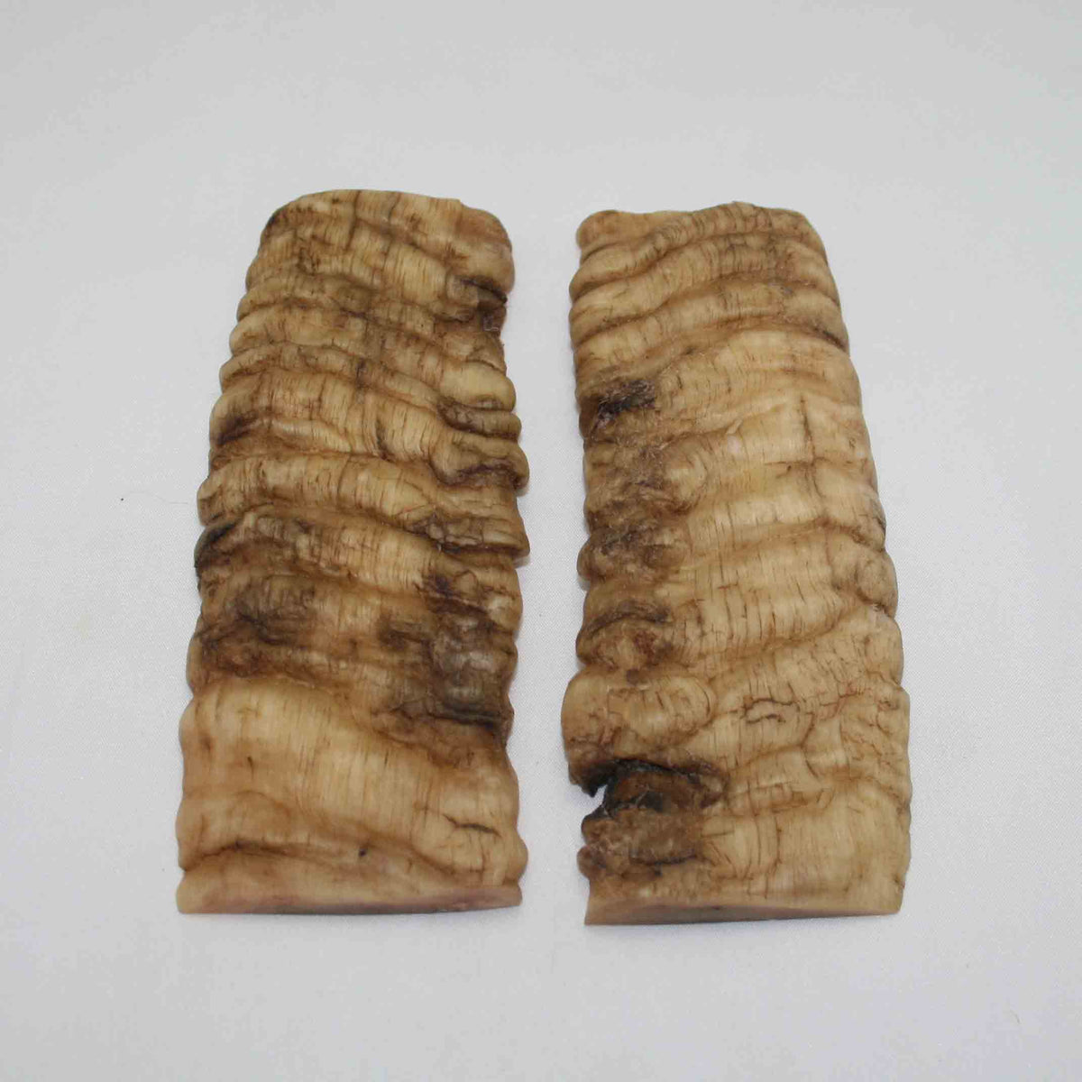 NB902NAM90 Merino Ram Horn Scales LARGE