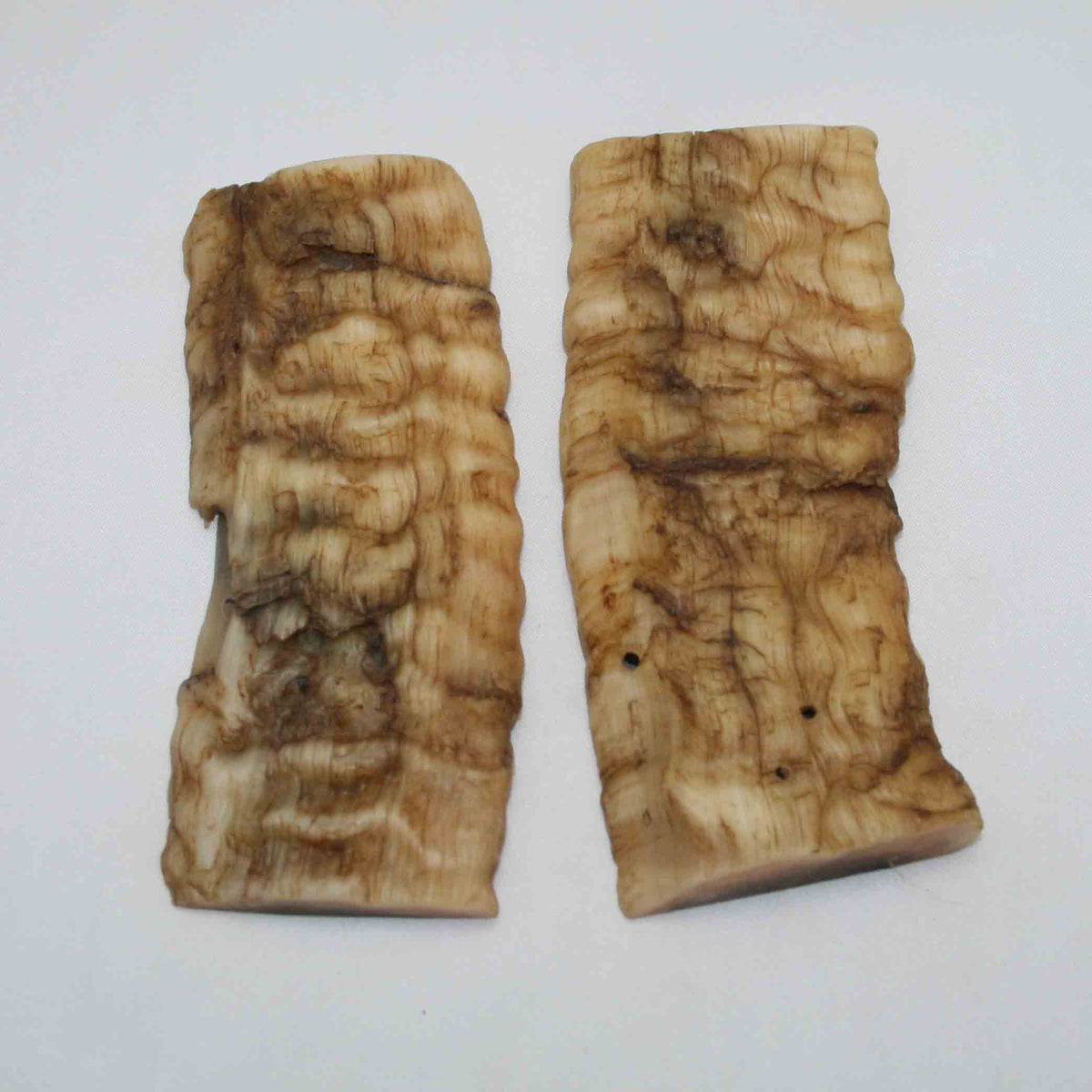 NB902NAM92 Merino Ram Horn Scales LARGE