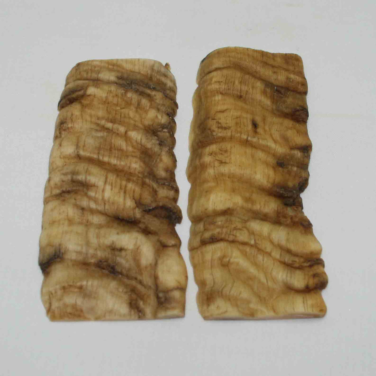 NB902NA11 Merino Ram Horn Scales LARGE 4.85" x 1.95" x 0.35" inch