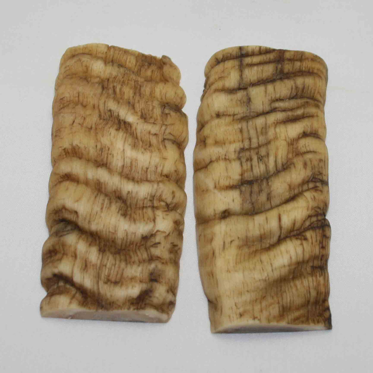 NB902NA12 Merino Ram Horn Scales LARGE 4.86" x 2.06" x 0.65" inch