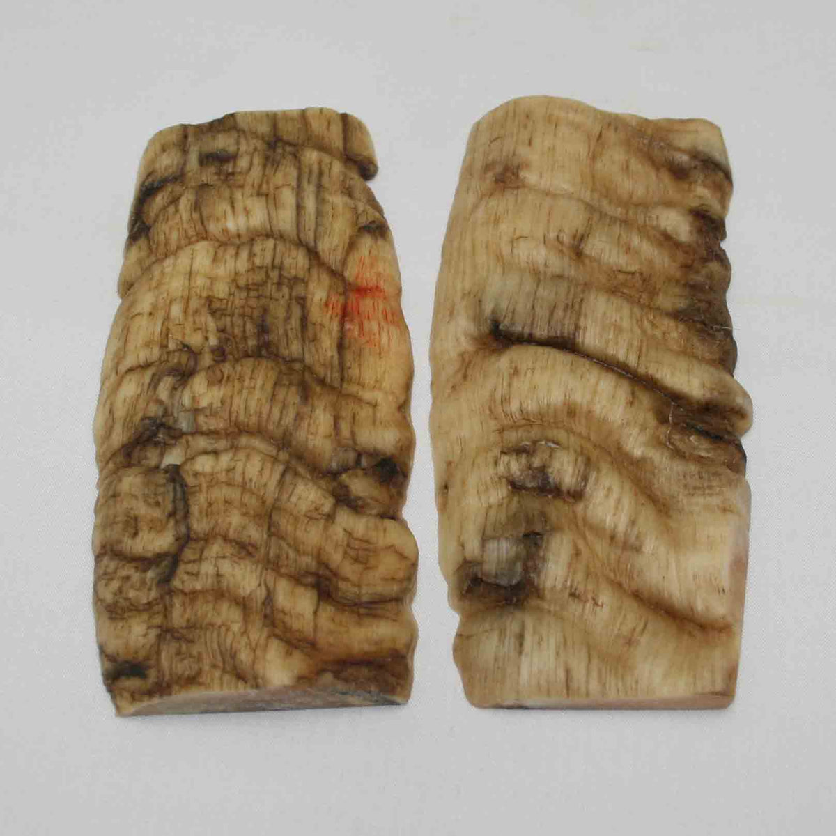 NB902NA13 Merino Ram Horn Scales LARGE 5.04" x 2.16" x 0.43" inch