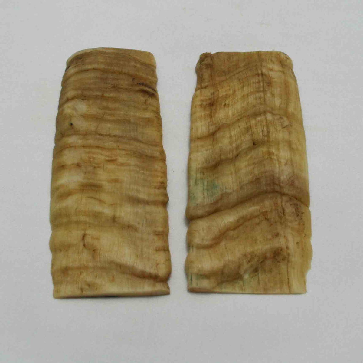 NB902NA14 Merino Ram Horn Scales LARGE 5.02" x 1.94" x 0.33" inch