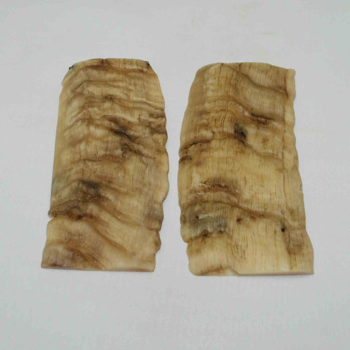 NB902NA17 Merino Ram Horn Scales LARGE 4.67" x 2.04" x 0.27" inch