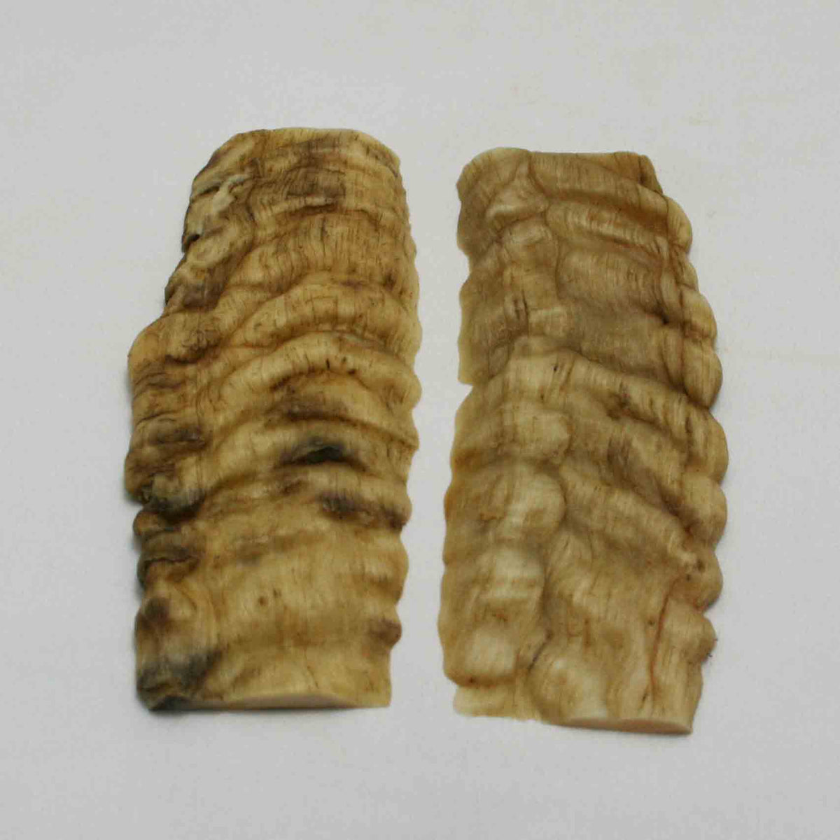 NB902NA18 Merino Ram Horn Scales LARGE 5.18" x 2.14" x 0.35" inch