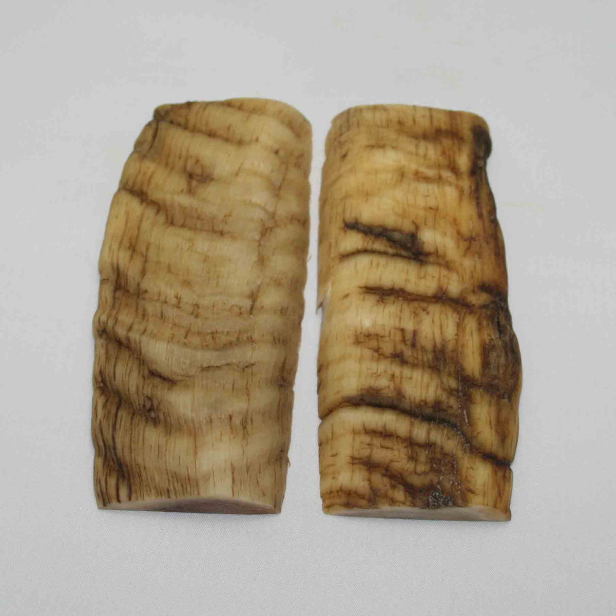 NB902NA19 Merino Ram Horn Scales LARGE 5.12" x 2.18" x 0.54" inch