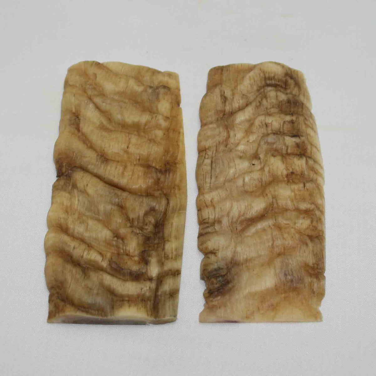 NB902NA20 Merino Ram Horn Scales LARGE 4.68" x 2.06" x 0.30" inch