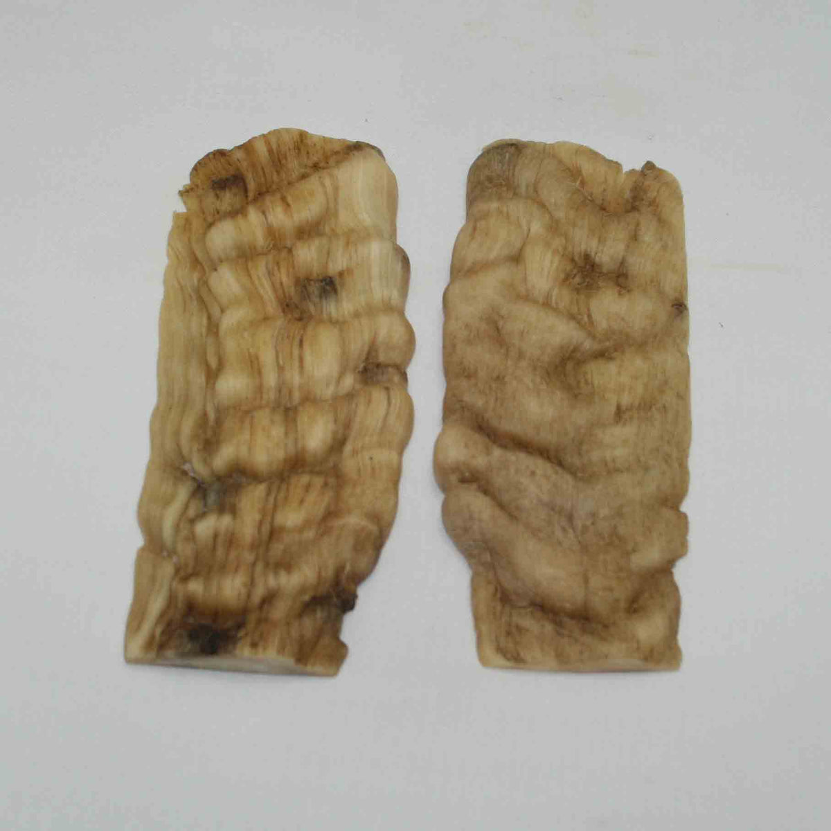 NB902NA21 Merino Ram Horn Scales LARGE 4.90" x 2.00" x 0.49" inch