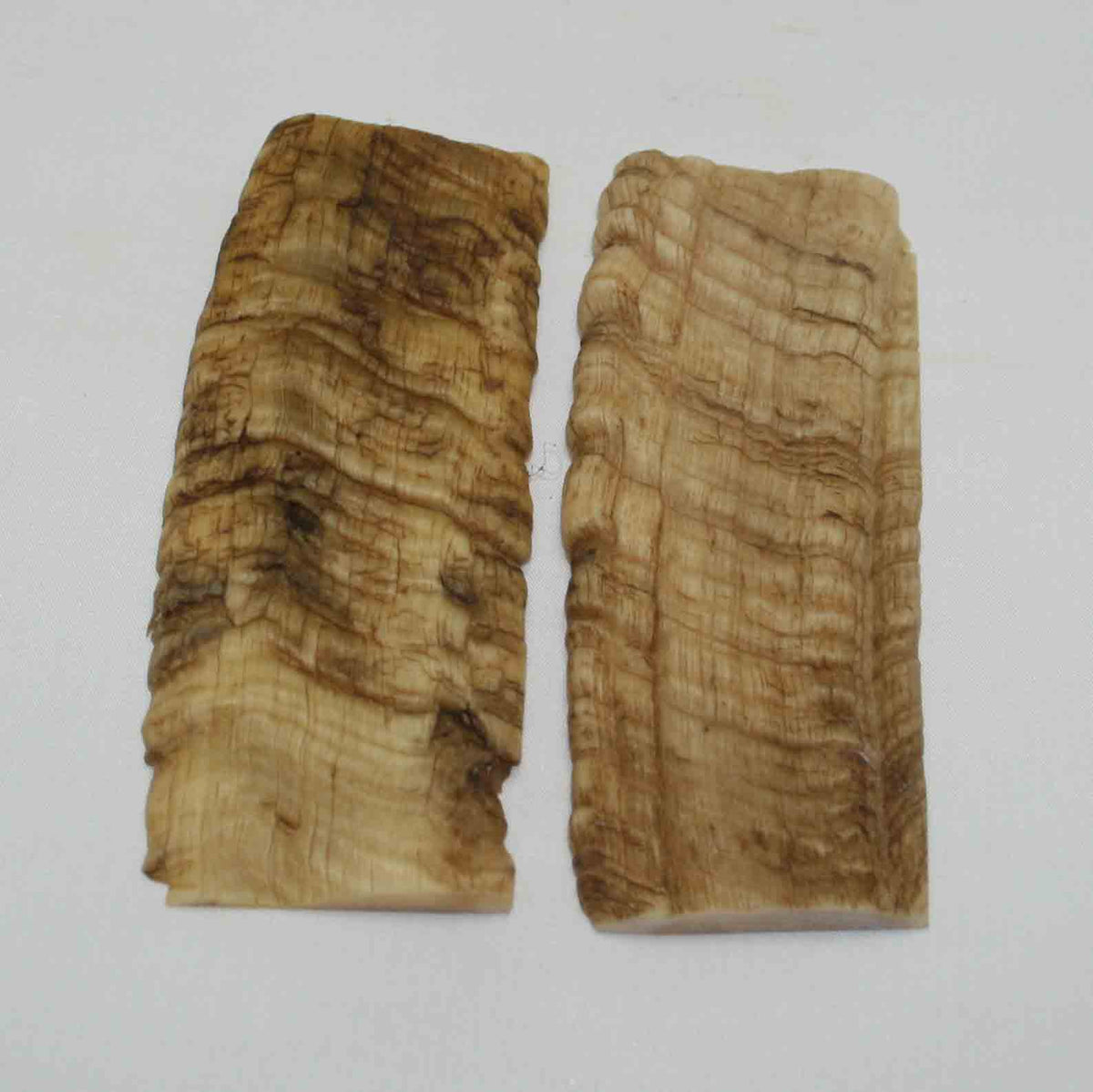NB902NA23 Merino Ram Horn Scales LARGE 4.92" x 1.90" x 0.34" inch