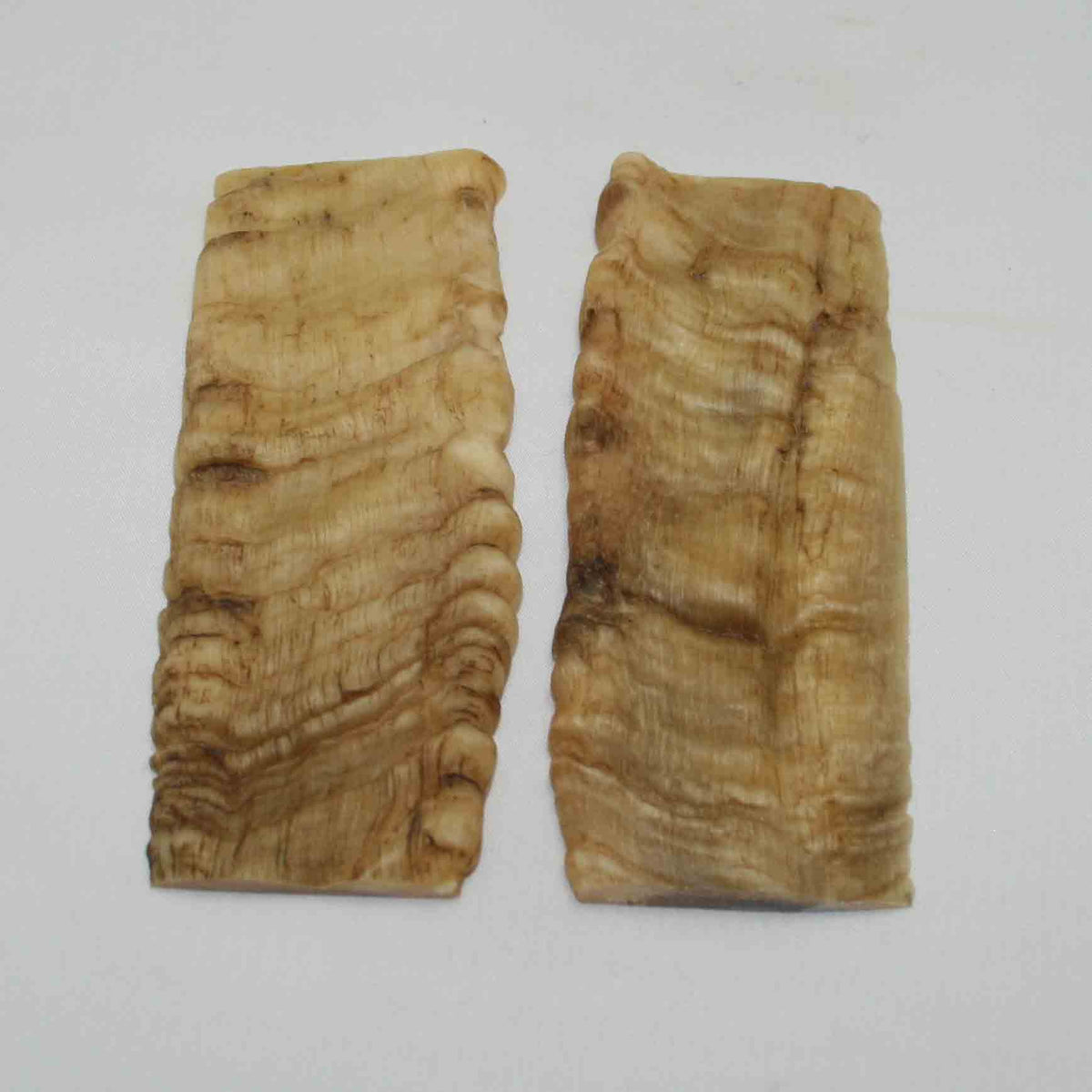 NB902NA24 Merino Ram Horn Scales LARGE 5.05" x 1.97" x 0.27" inch
