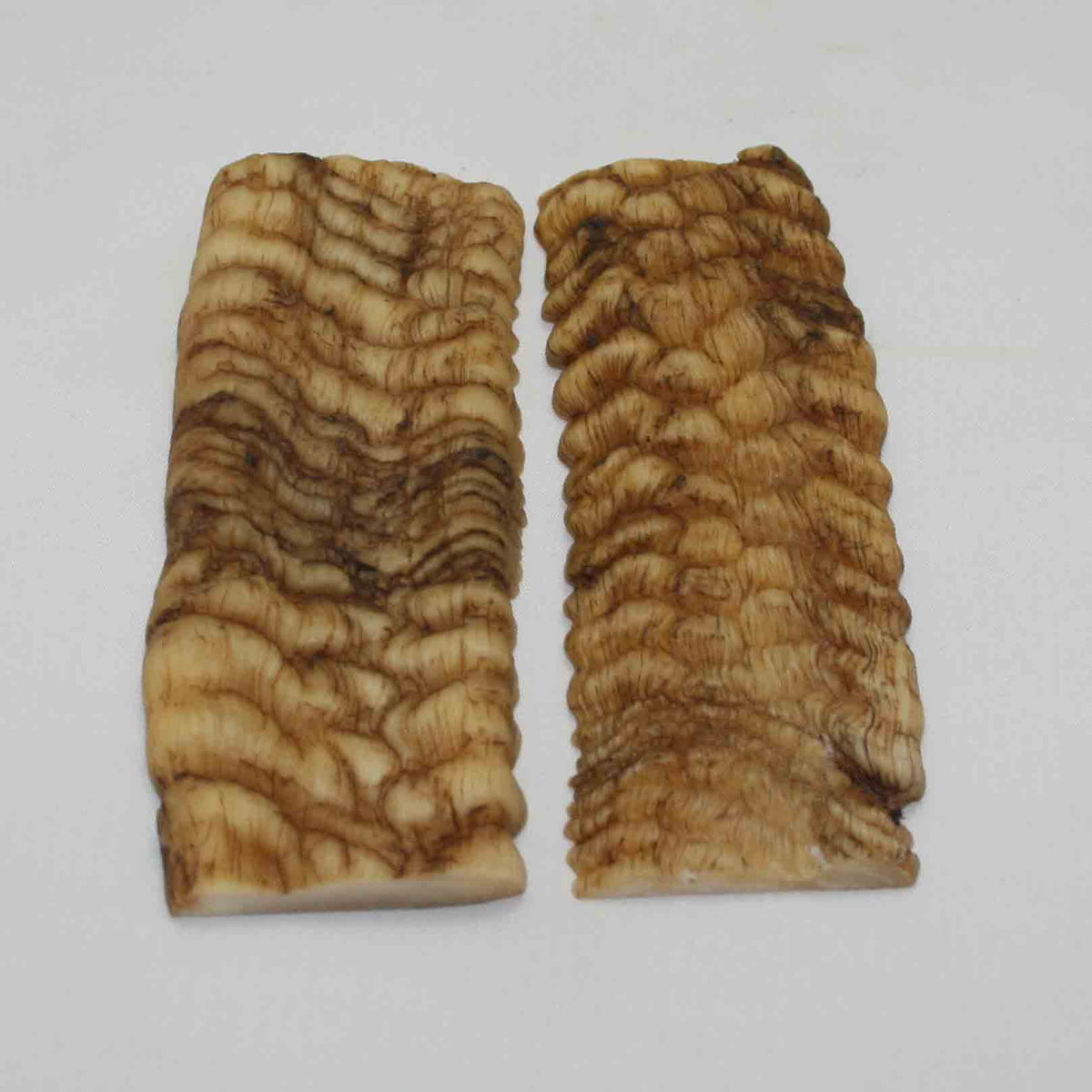 NB902NA25 Merino Ram Horn Scales LARGE 4.92" x 1.98" x 0.56" inch