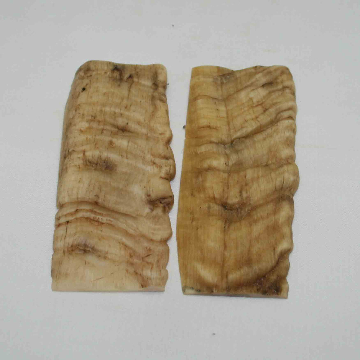 NB902NA27 Merino Ram Horn Scales LARGE 5.11" x 2.10" x 0.34" inch