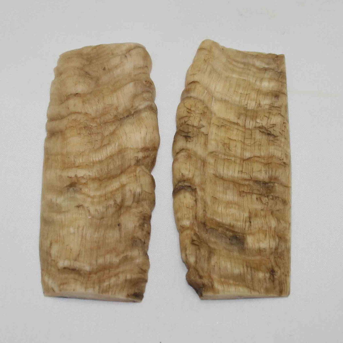 NB902NA2 Merino Ram Horn Scales LARGE 5.08" x 1.95" x 0.43" inch