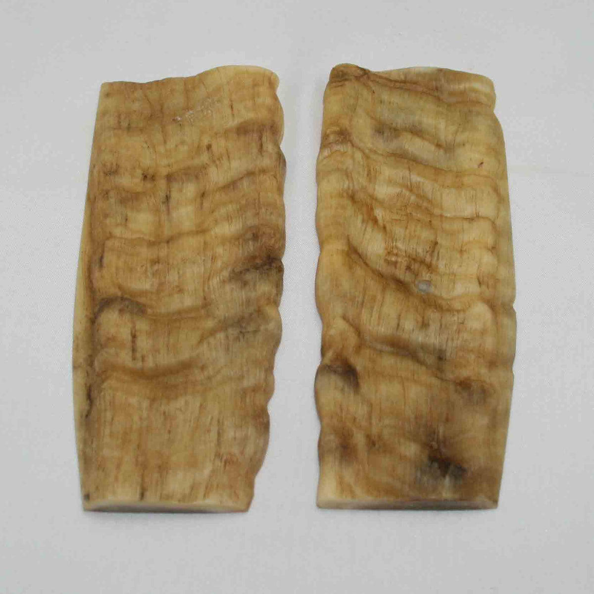 NB902NA4 Merino Ram Horn Scales LARGE 5.24" x 2.06" x 0.33" inch