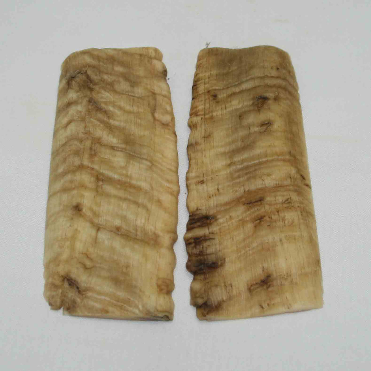 NB902NA5 Merino Ram Horn Scales LARGE 4.92" x 1.95" x 0.28" inch