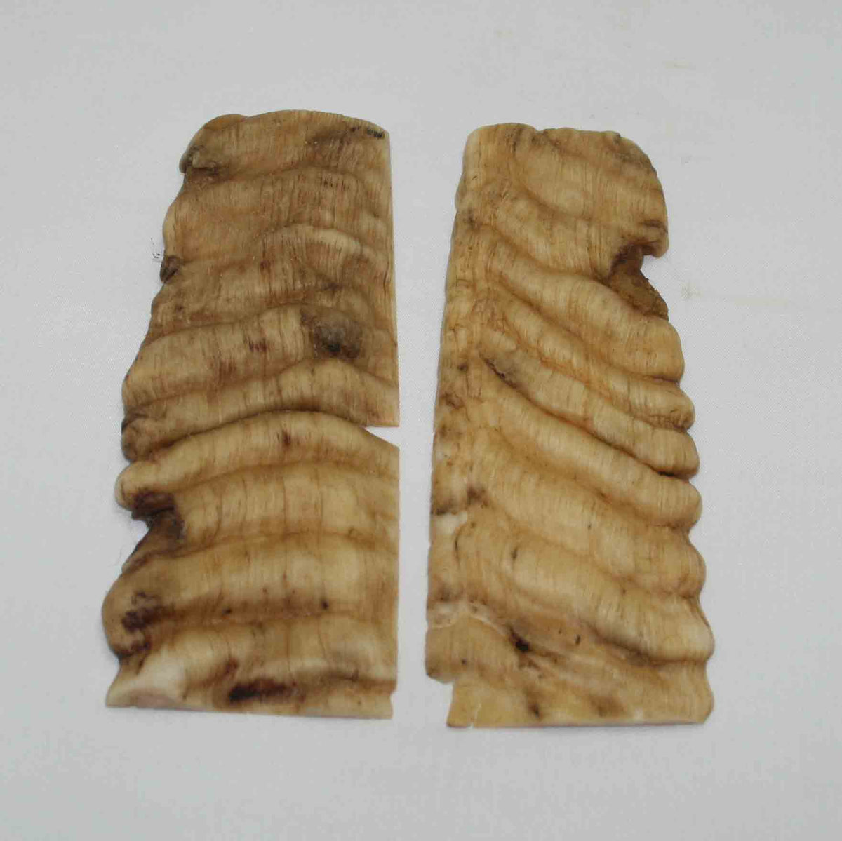 NB902NA6 Merino Ram Horn Scales LARGE 5.30" x 2.01" x 0.40" inch