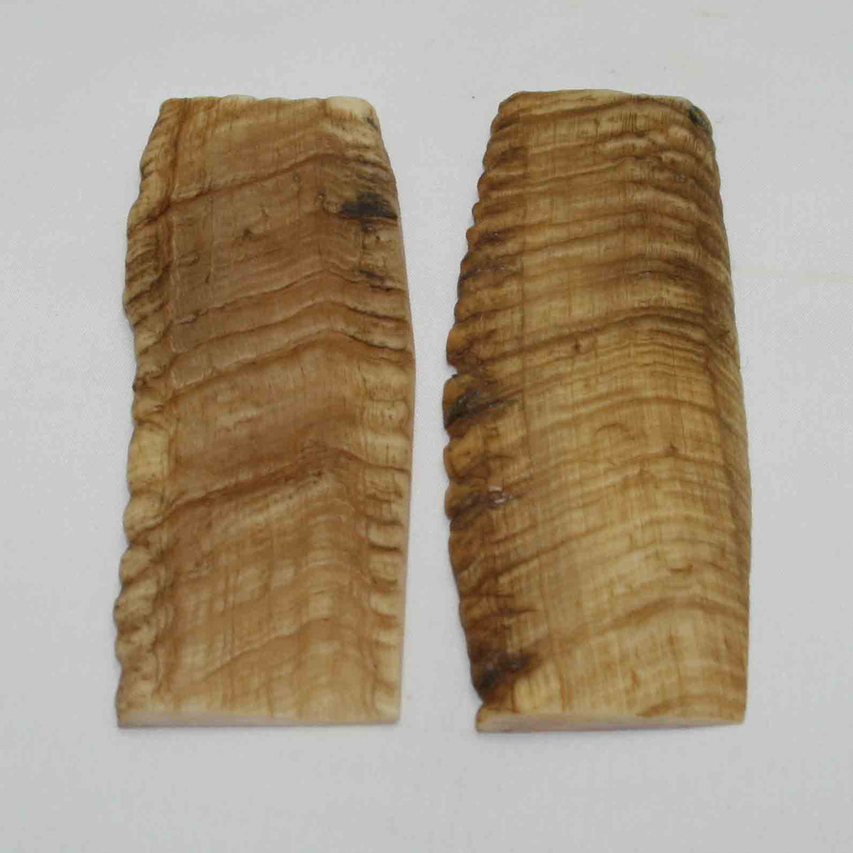NB902NA7 Merino Ram Horn Scales LARGE 4.99" x 1.95" x 0.33" inch