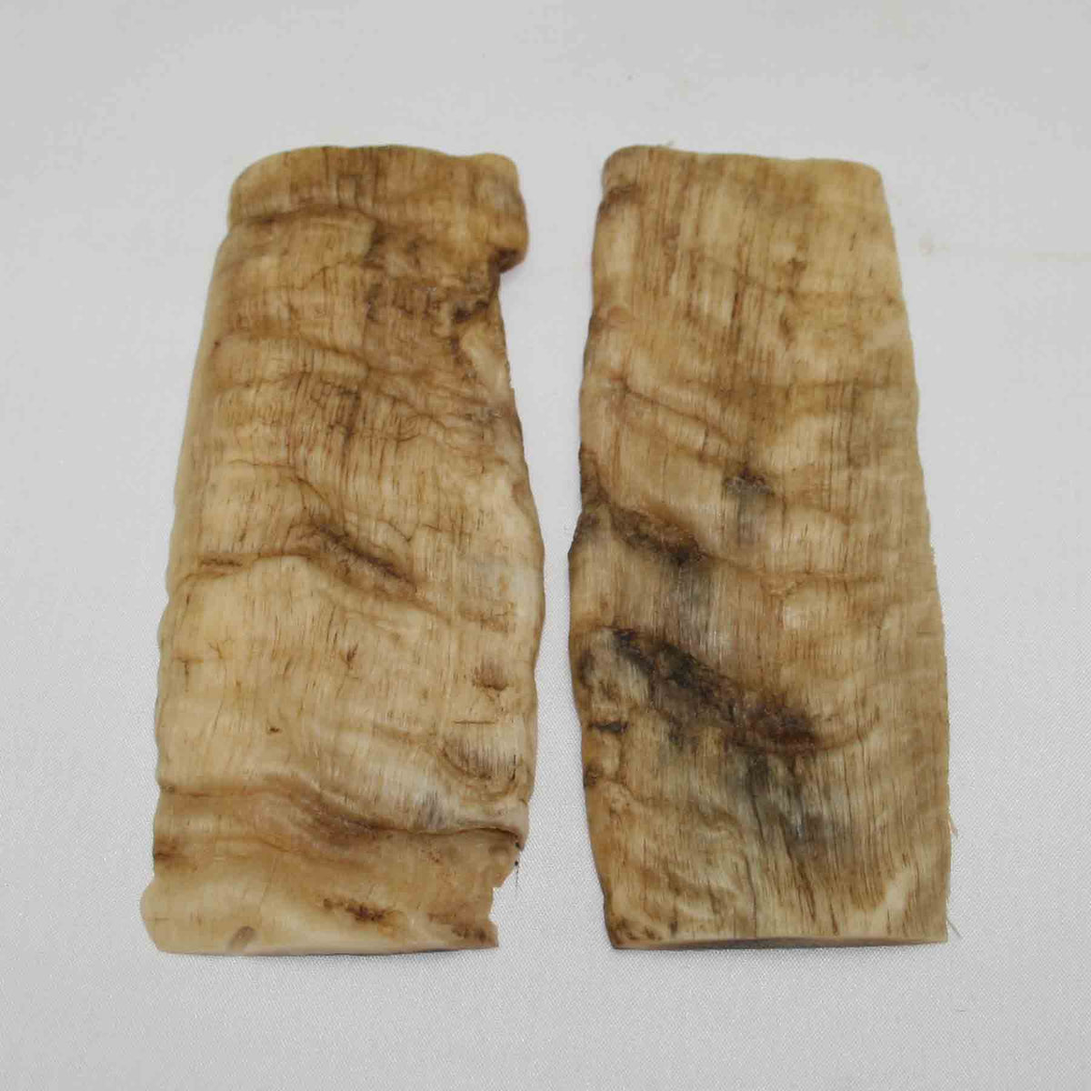 NB902NA8 Merino Ram Horn Scales LARGE 4.97" x 1.86" x 0.26" inch
