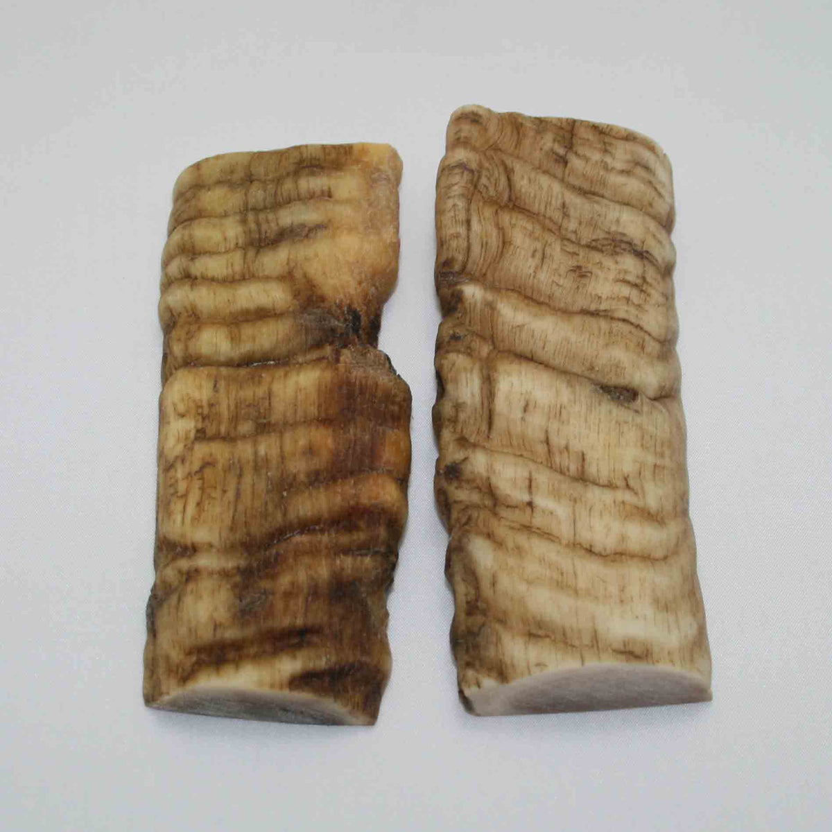 NB903JS13 Merino Ram&#39;s Horn Flat Block Scales