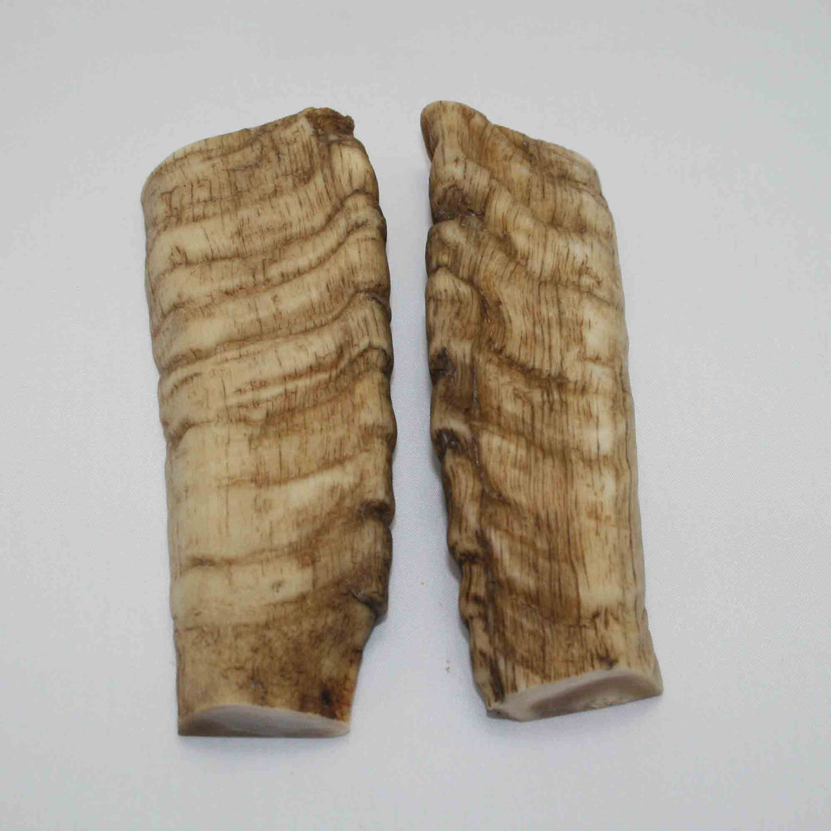 NB903JS19 Merino Ram&#39;s Horn Flat Block Scales