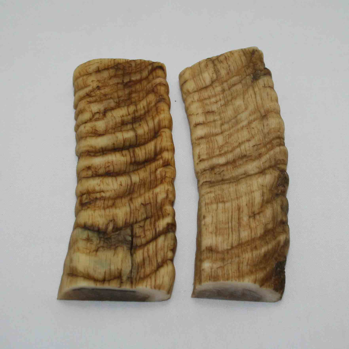 NB903JS1 Merino Ram&#39;s Horn Flat Block Scales