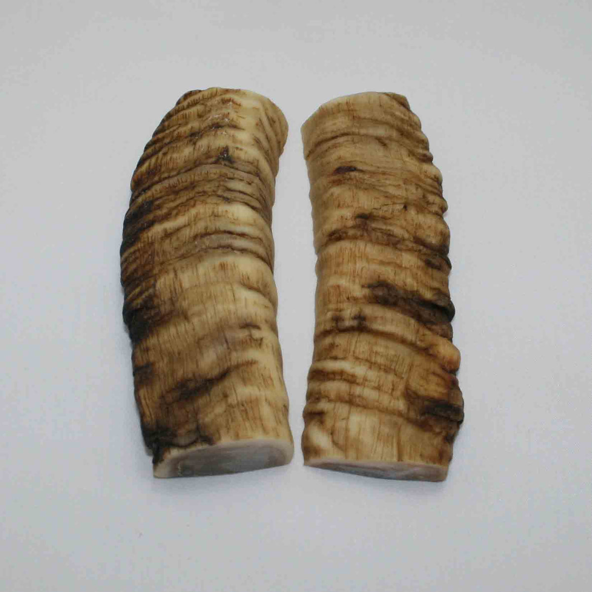 NB903JS32 Merino Ram&#39;s Horn Flat Block Scales