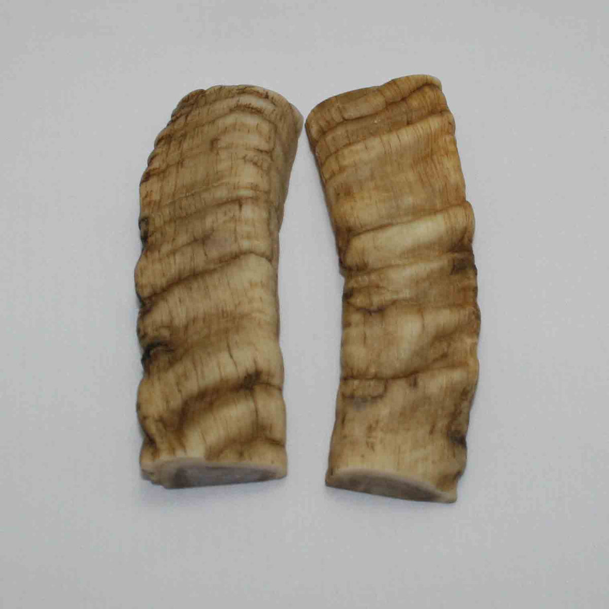 NB903JS42 Merino Ram&#39;s Horn Flat Block Scales