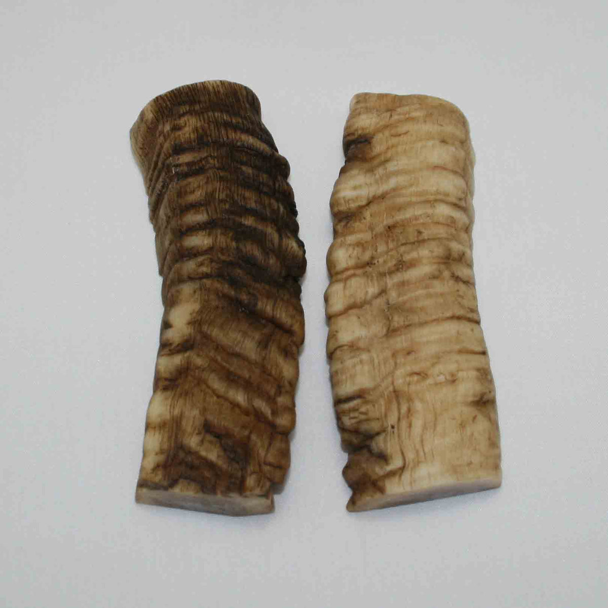 NB903JS44 Merino Ram&#39;s Horn Flat Block Scales