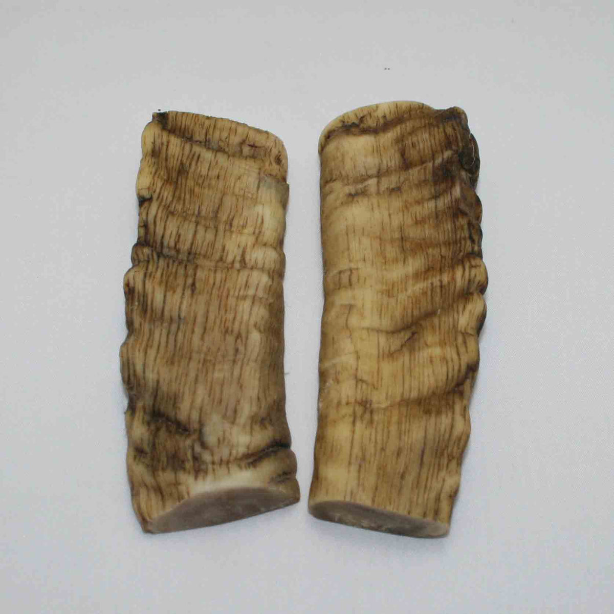 NB903JS47 Merino Ram&#39;s Horn Flat Block Scales