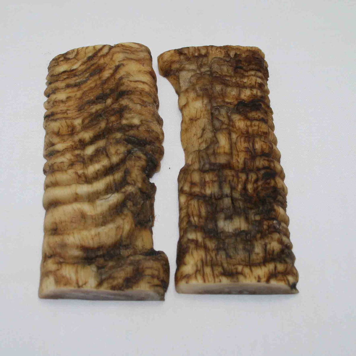 NB903JS4 Merino Ram&#39;s Horn Flat Block Scales