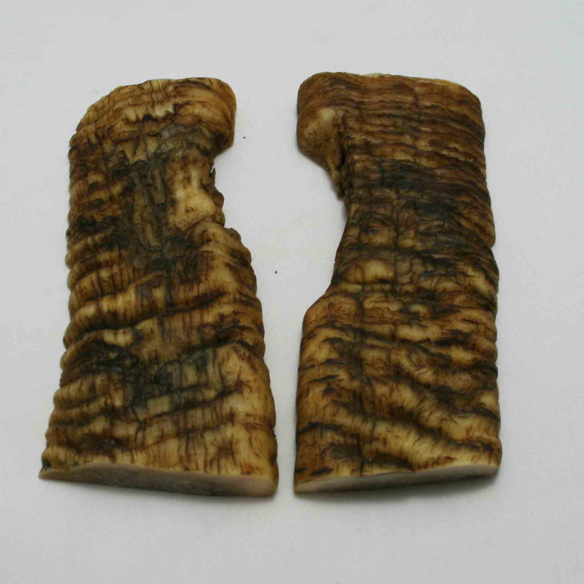 NB903JS5 Merino Ram&#39;s Horn Flat Block Scales