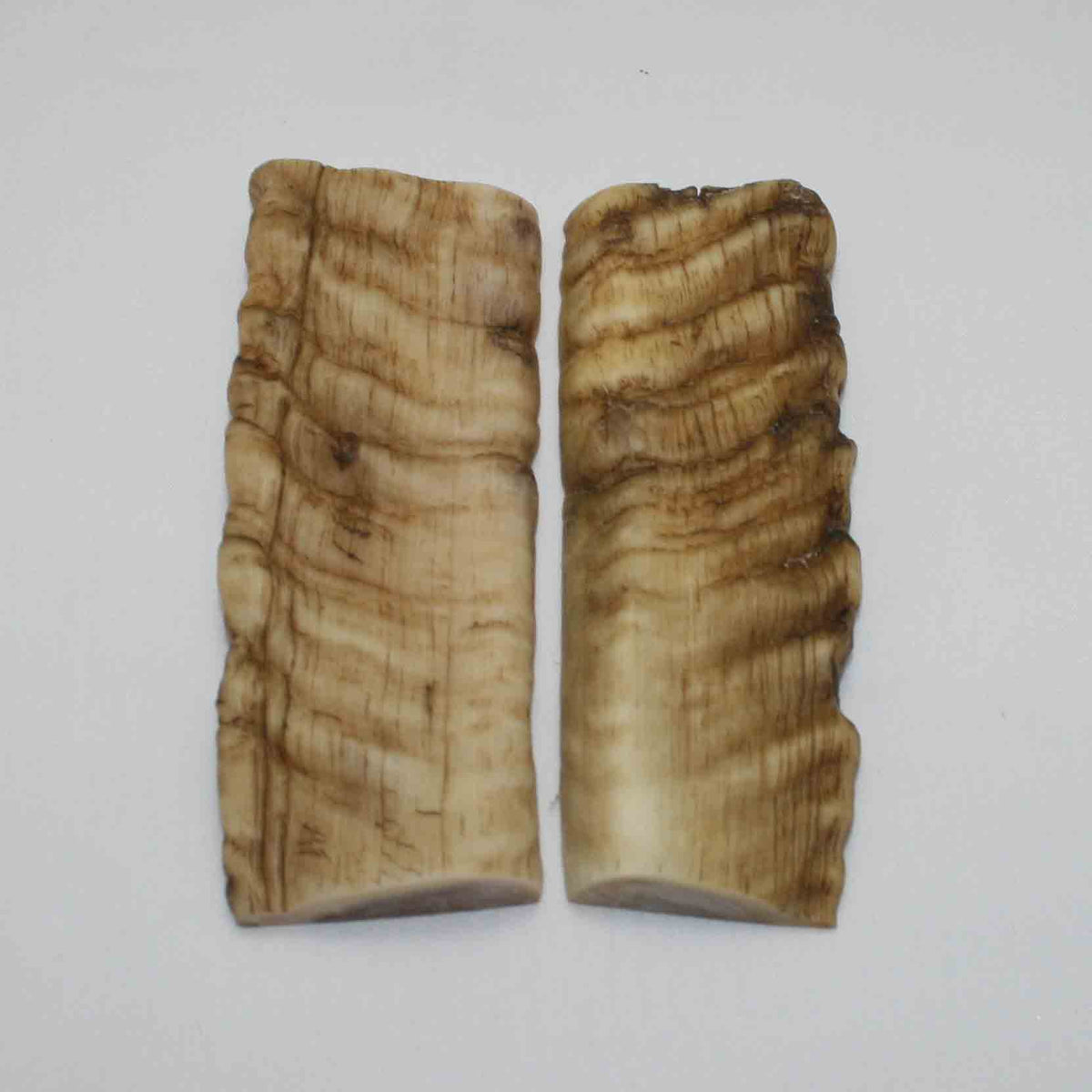 NB903JS63 Merino Ram&#39;s Horn Flat Block Scales