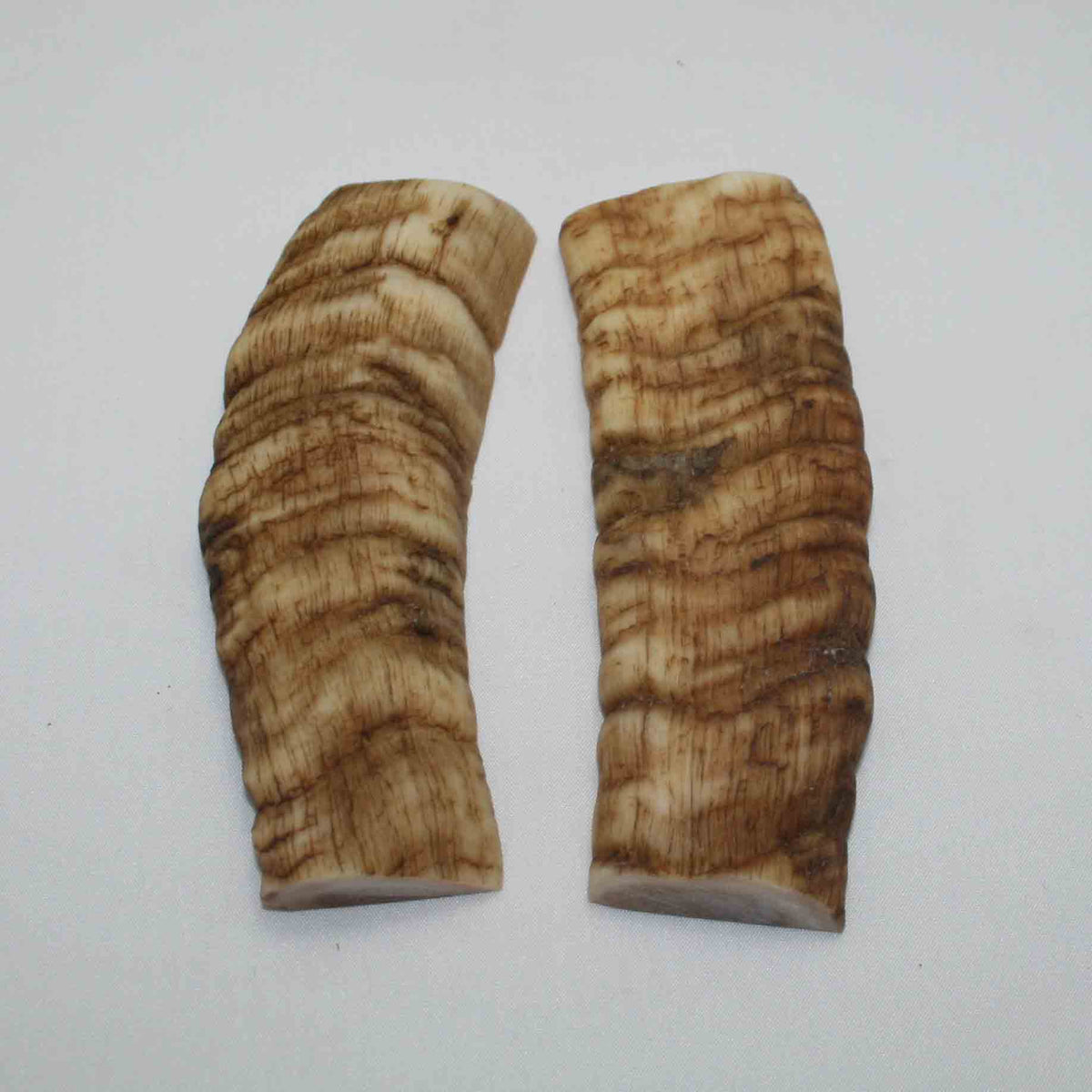 NB903JS87 Merino Ram&#39;s Horn Flat Block Scales