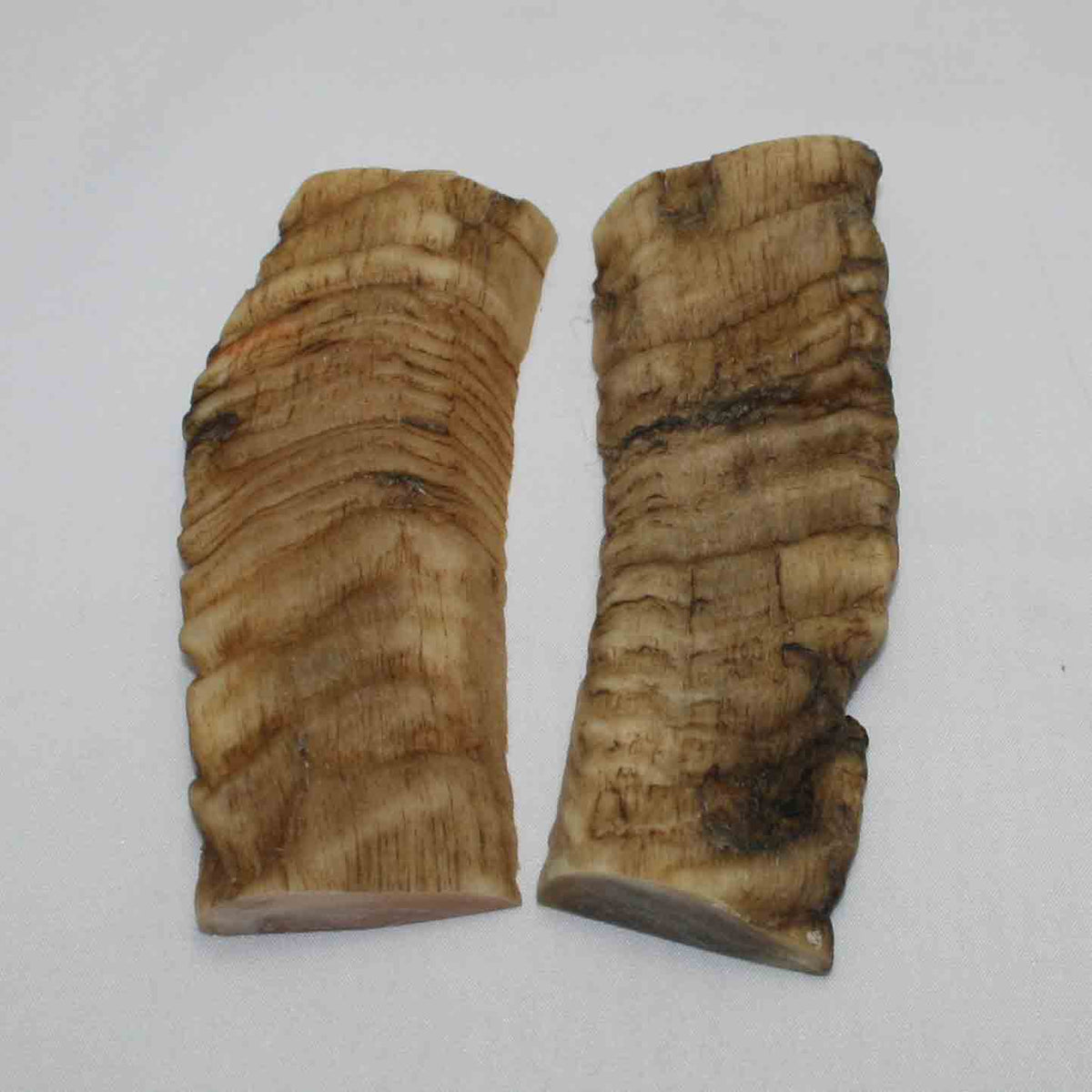 NB903LG10 Merino Ram's Horn Flat Block Scales