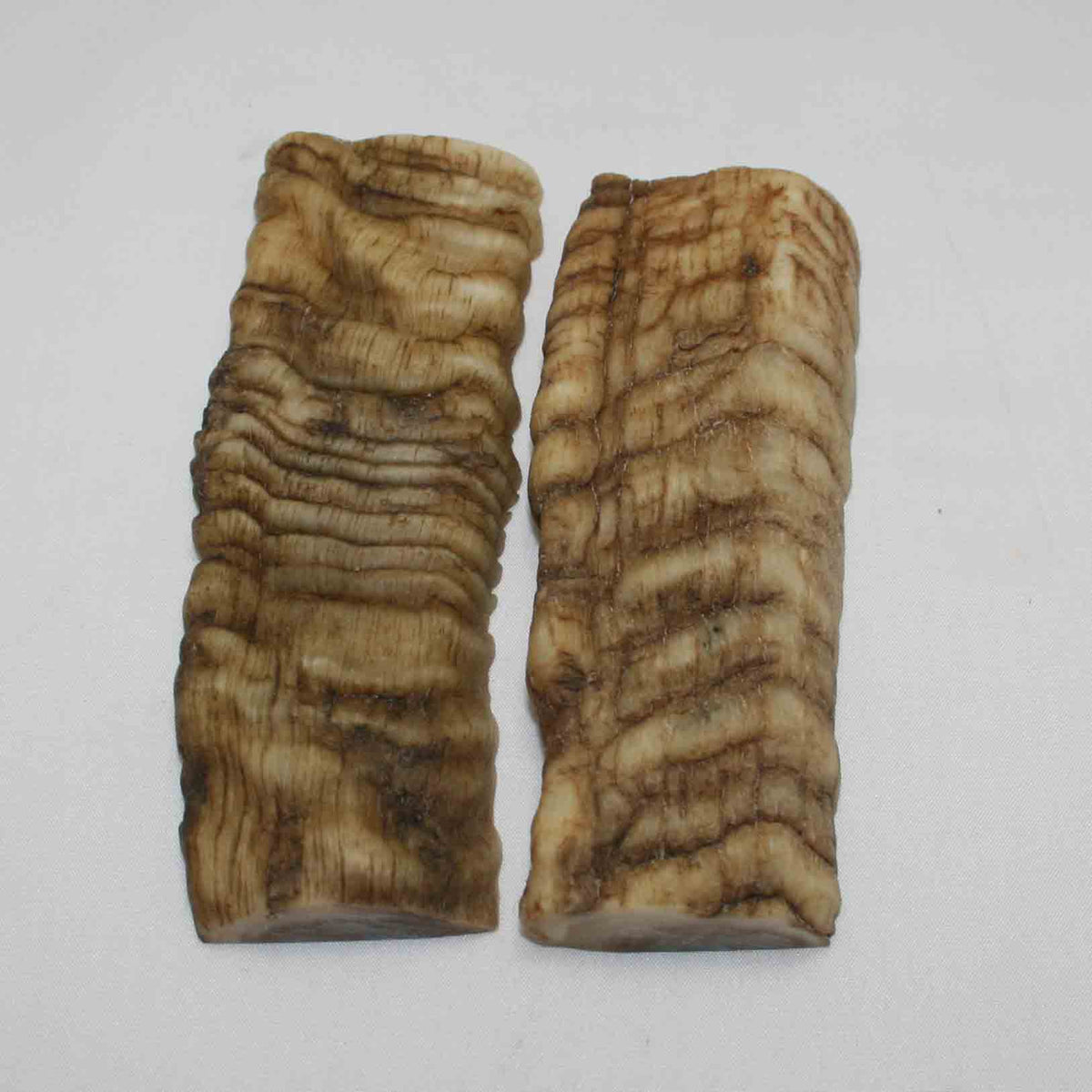 NB903LG12 Merino Ram's Horn Flat Block Scales