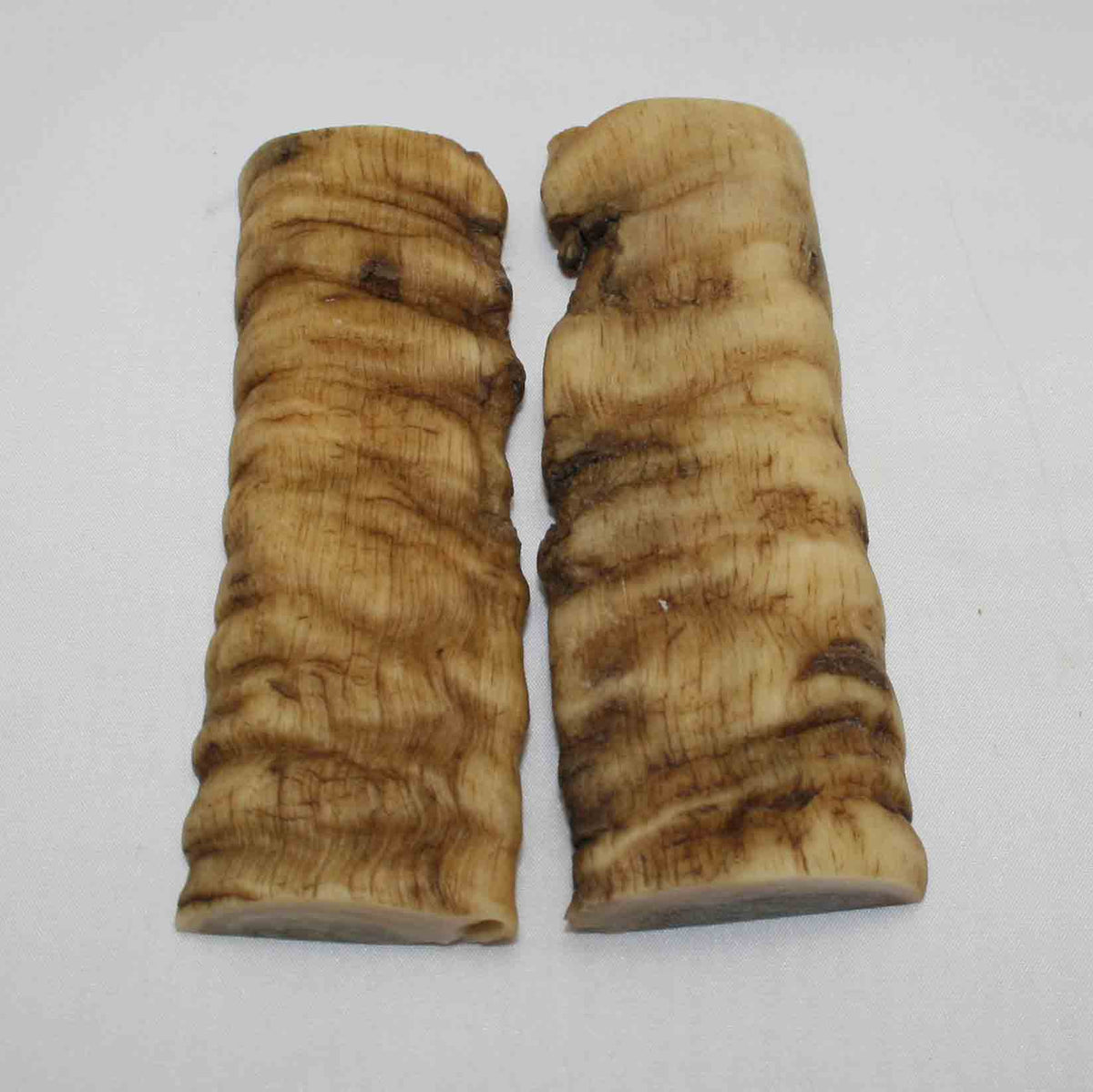 NB903LG14 Merino Ram's Horn Flat Block Scales