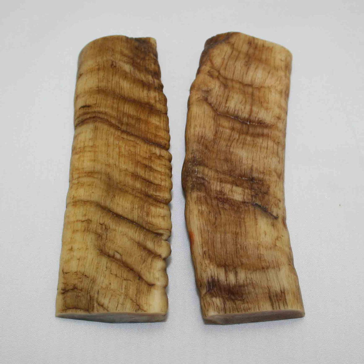 NB903LG19 Merino Ram's Horn Flat Block Scales