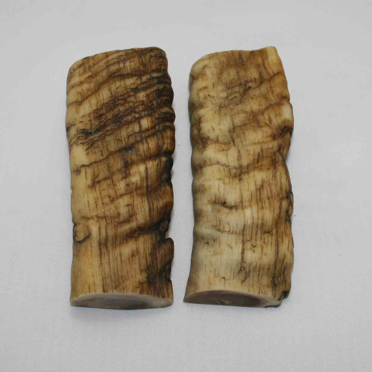 NB903LG1 Merino Ram's Horn Flat Block Scales