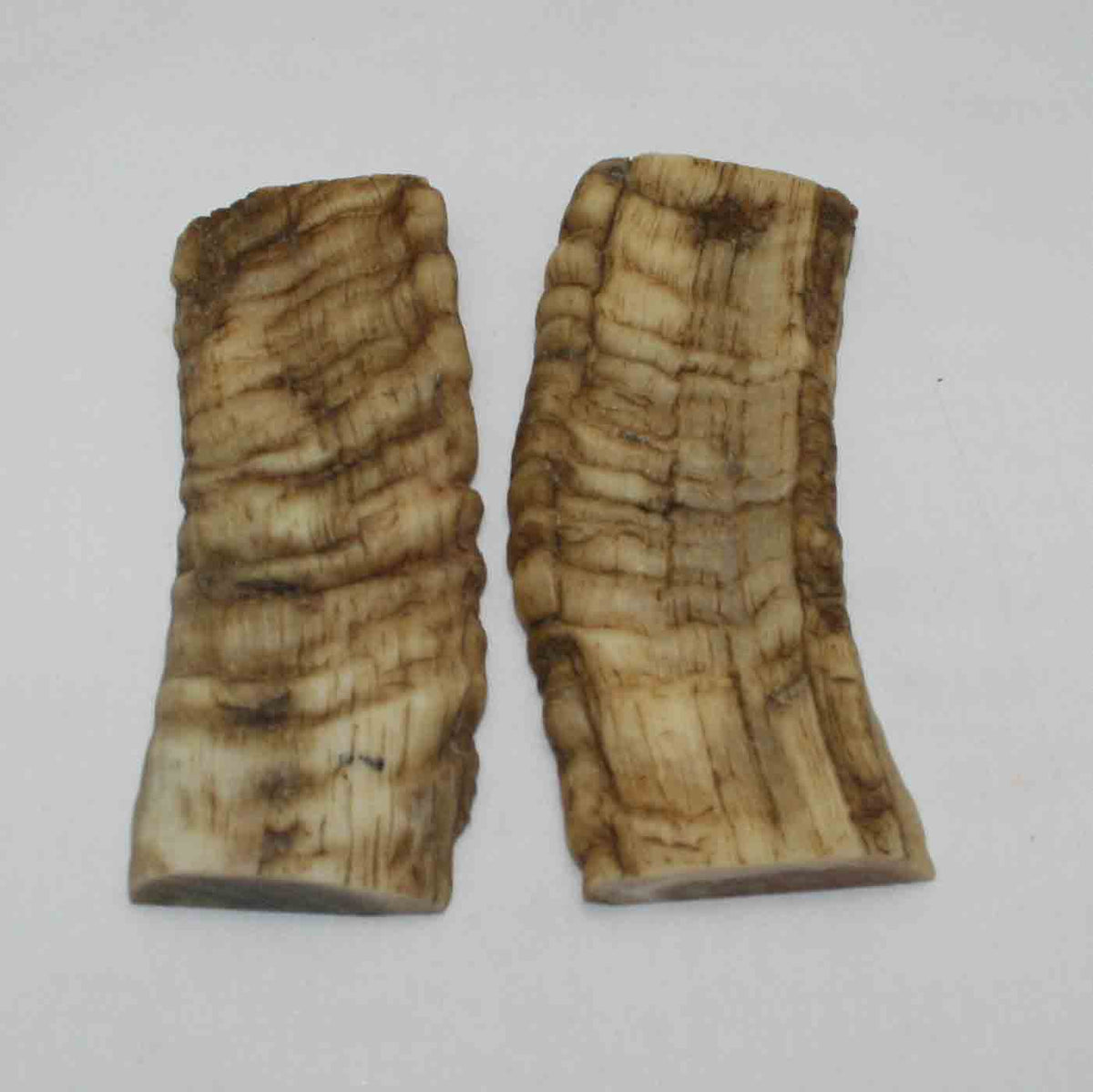NB903LG46 Merino Ram's Horn Flat Block Scales