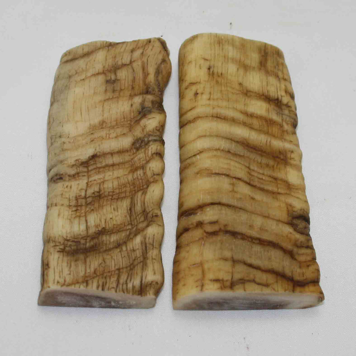 NB903MMA12 Merino Ram&#39;s Horn Flat Block Scales