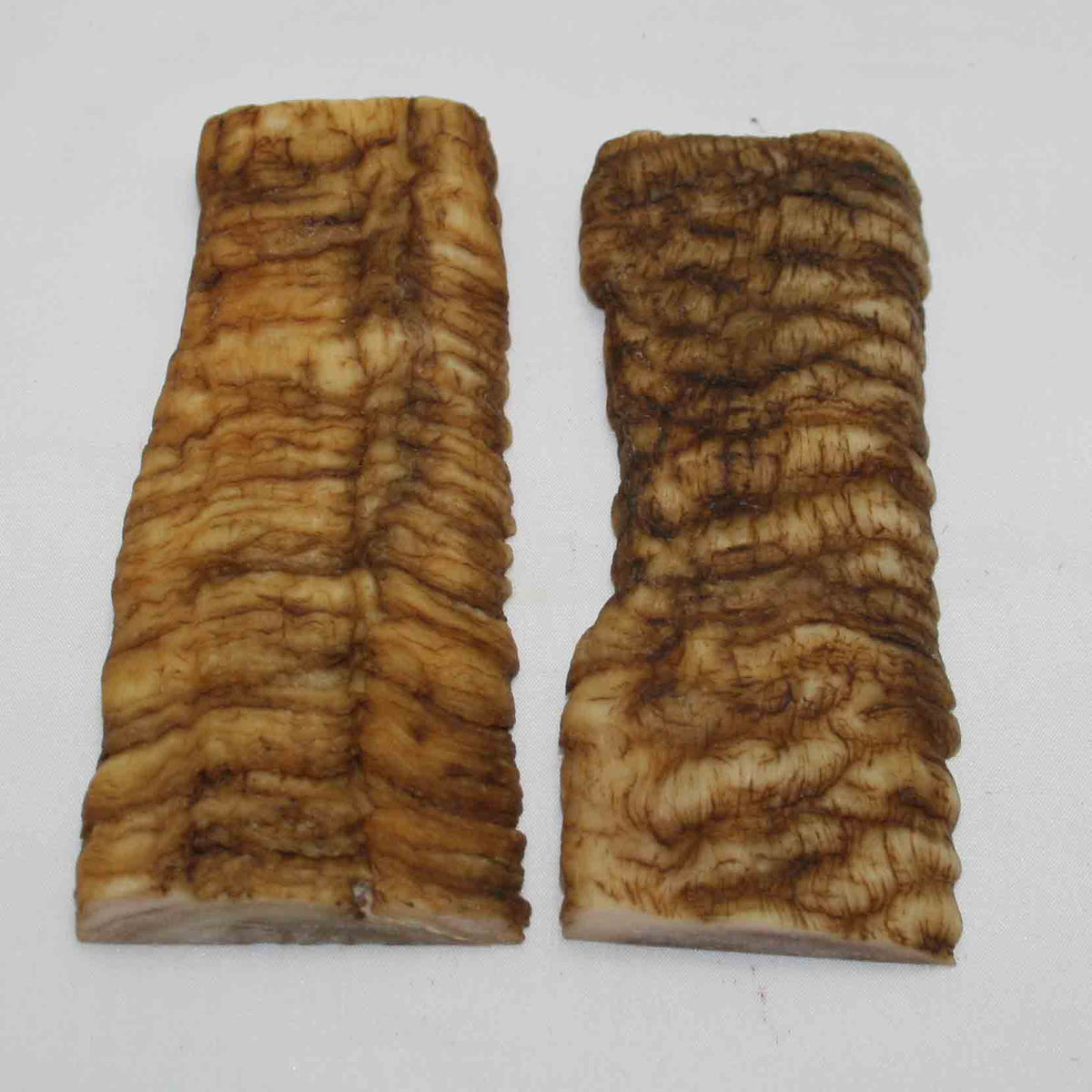 NB903MMA14 Merino Ram&#39;s Horn Flat Block Scales